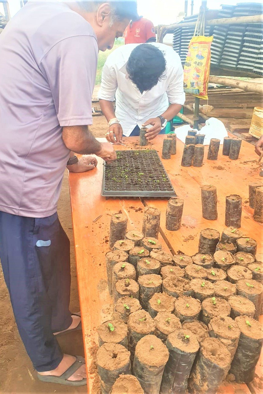 vinayak-agro-farm-uganda (8)