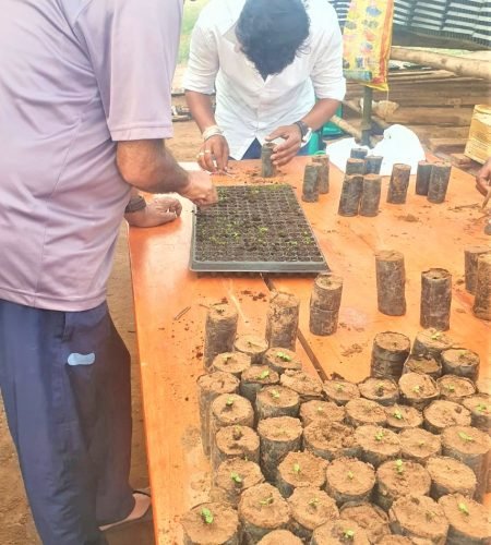 vinayak-agro-farm-uganda (8)